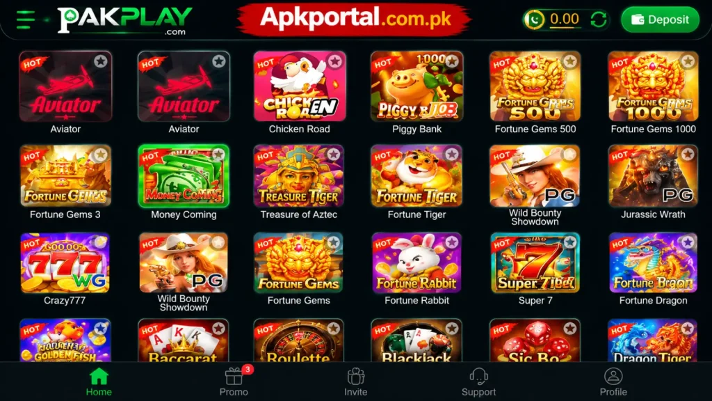 PakPlay Game interface