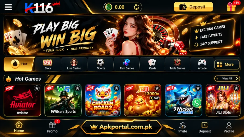 K116 Game interface